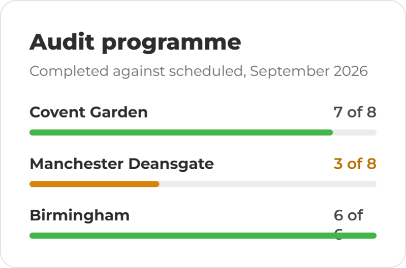 Audit Cards- audit programme