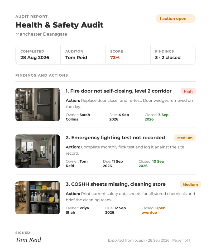 Audit Report Export- Health and Safety Report