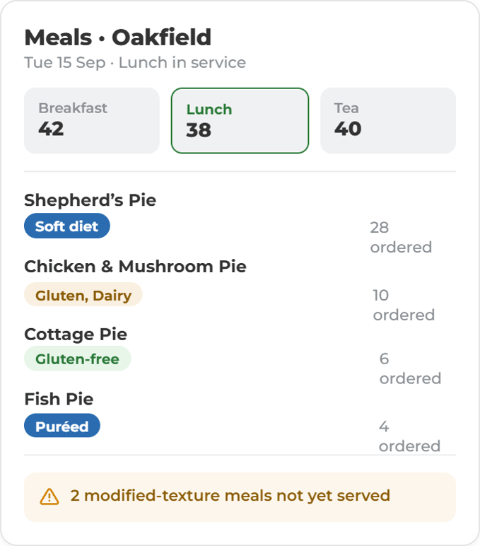 Care Home Meals Dashboard 2