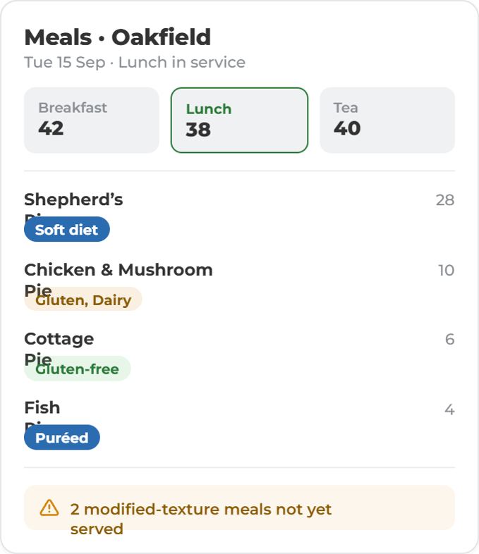 Care Home Meals Dashboard