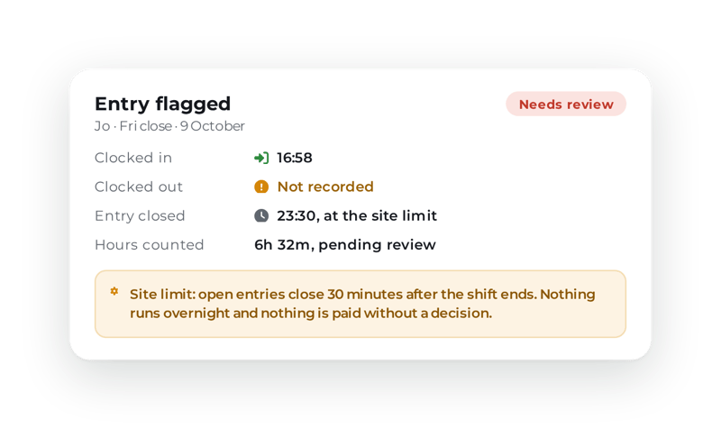 ocapii-timesheet-entry-flagged
